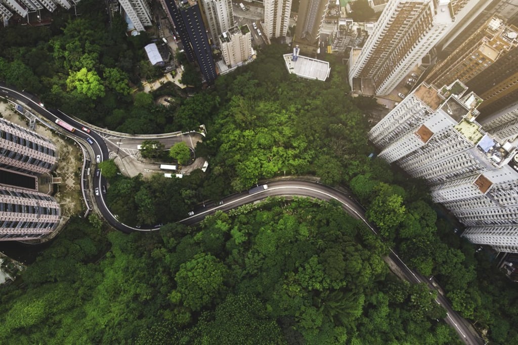 There are now far more trees in Hong Kong than there were at the turn of the century. Photo: Getty Images There are now far more trees in Hong Kong than there were at the turn of the century. Photo: Getty Images