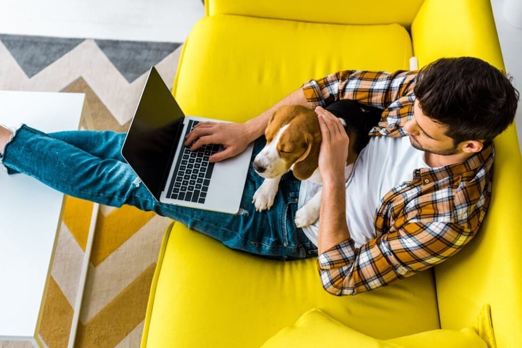 The younger men were, the more likely they were to abstain from sex, the study found. Photo: Shutterstock