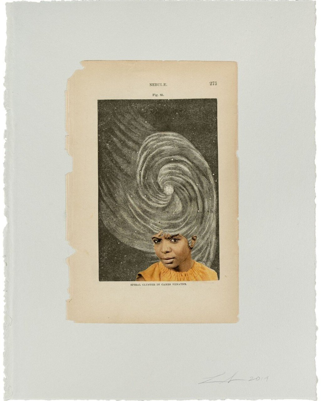 Lorna Simpson’s 2019 collage Nebulae Fig. Photo: Lorna Simpson