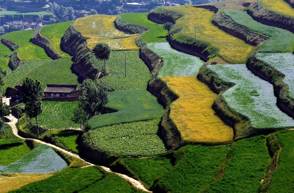 Terraced rice fields in a mountainous area of Dingxi City, in northwest China’s Gansu Province. Photo: Xinhua