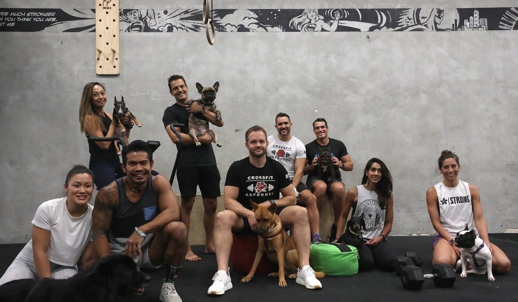 Front row (from left) – Rachel Haslam, Jimmy Pang, Chris Lee, Mandy Kaur, Stephanie Poelman. Back row – Angela Ranta, Julius Ranta, Nicholas Worley and David Smith at CrossFit Asphodel in Kennedy Town. Photo: Xiaomei Chen