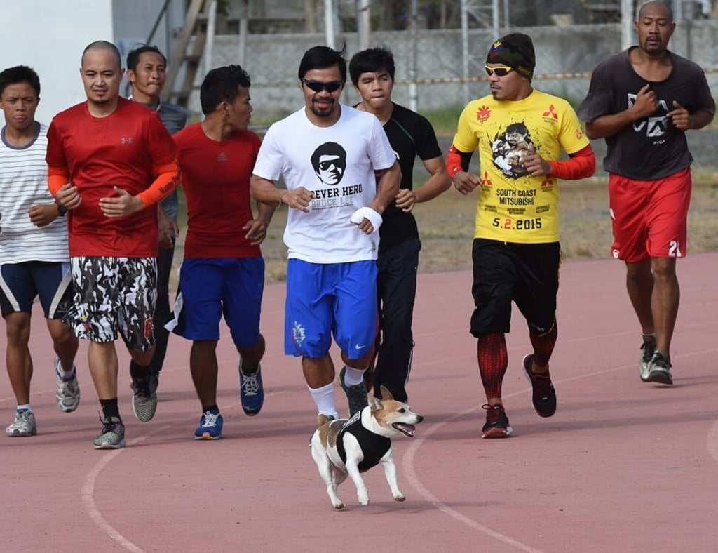 Pacman often accompanied Philippine boxing icon Manny Pacquiao during fight camps. Photo: AFP Pacman often accompanied Philippine boxing icon Manny Pacquiao during fight camps. Photo: AFP