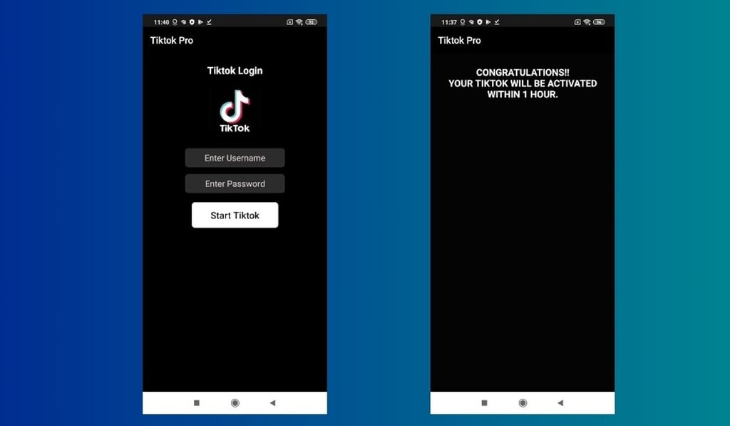 TikTok Pro requests a lot of user permissions while promising to deliver access to the real TikTok. Screenshot: TikTok Pro TikTok Pro requests a lot of user permissions while promising to deliver access to the real TikTok. Screenshot: TikTok Pro