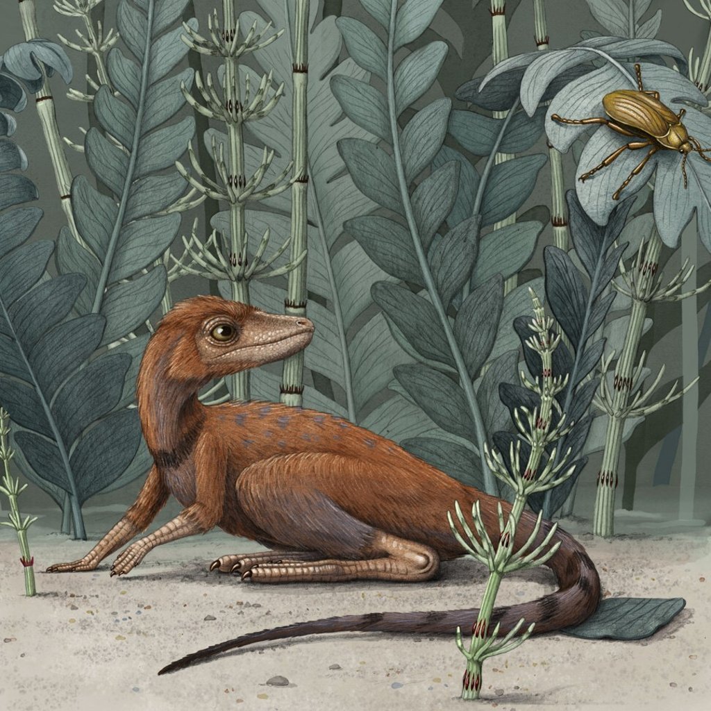 This illustration provided depicts a Kongonaphon kely, which lived roughly 237 million years ago. Image: Alex Boersma via AP