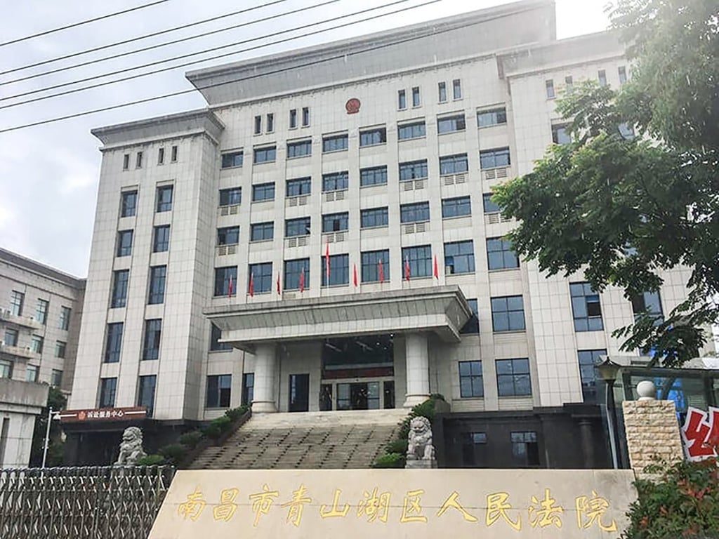 The Qingshanhu District People’s Court handed down the verdicts on Tuesday. Photo: Handout