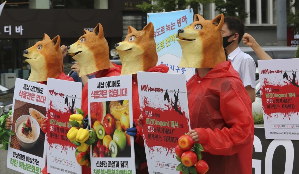 Activists holding placards with the image of small dogs confined in a cage and the words ‘Stop dog meat’. Photo: AP Activists holding placards with the image of small dogs confined in a cage and the words ‘Stop dog meat’. Photo: AP