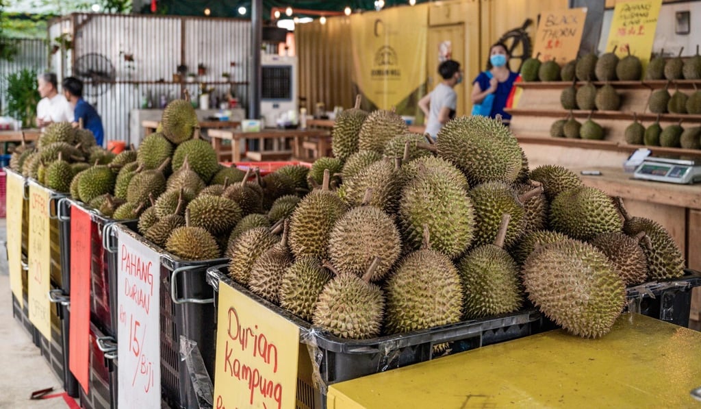 Durians displayed for sale at a shop in Kuala Lumpur on July 8. Photo: AFP Durians displayed for sale at a shop in Kuala Lumpur on July 8. Photo: AFP
