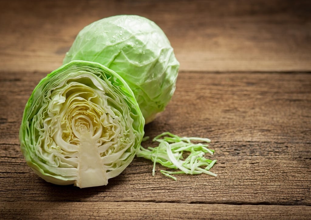 An average of nearly 30 grams of cabbage is consumed per day in Latvia, where the Covid-19 death rate is among the world’s lowest, according to the study. Photo: Shutterstock An average of nearly 30 grams of cabbage is consumed per day in Latvia, where the Covid-19 death rate is among the world’s lowest, according to the study. Photo: Shutterstock