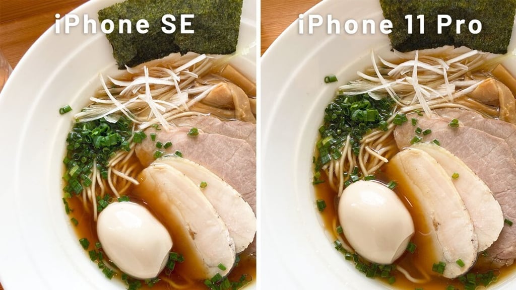 A 1x camera comparison between iPhone SE and iPhone 11 Pro. Photo: Chris Chang A 1x camera comparison between iPhone SE and iPhone 11 Pro. Photo: Chris Chang
