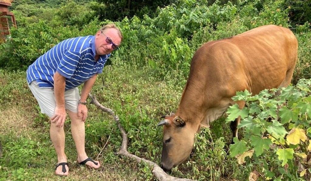 Neil, on the moo-ve. Photo: Neil Newman