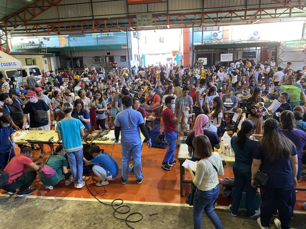 Thousands of animals were desexed during the celebration of the World Spay Day in February in Mandaluyong City, the Philippines. Photo: Courtesy of Dr Maricelle Licuanan