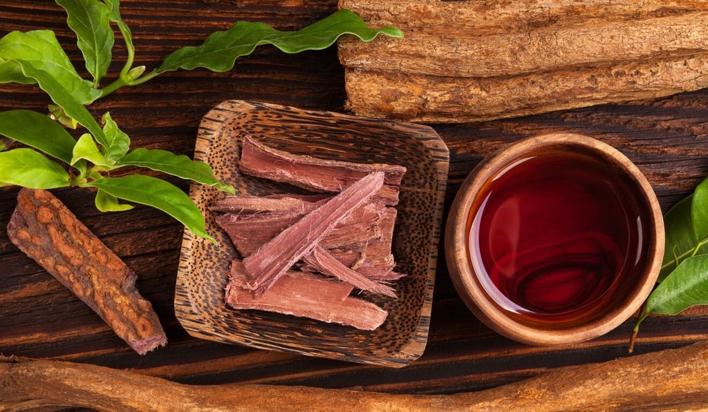 Taking ayahuasca can improve mental well-being, ease suffering and heal past trauma. Photo: Shutterstock