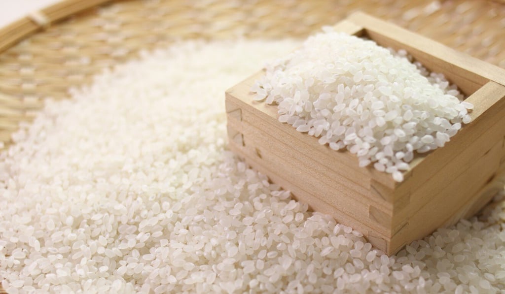 Japanese koshihikari rice, which South Korea’s Rural Development Administration says is inferior to its domestically developed varieties. Photo: Shutterstock