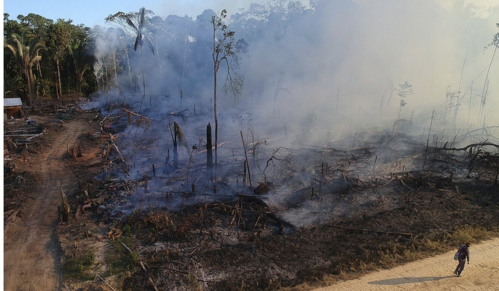 An area scorched by wildfires near Labrea, Amazonas state, Brazil. Photo: AP An area scorched by wildfires near Labrea, Amazonas state, Brazil. Photo: AP