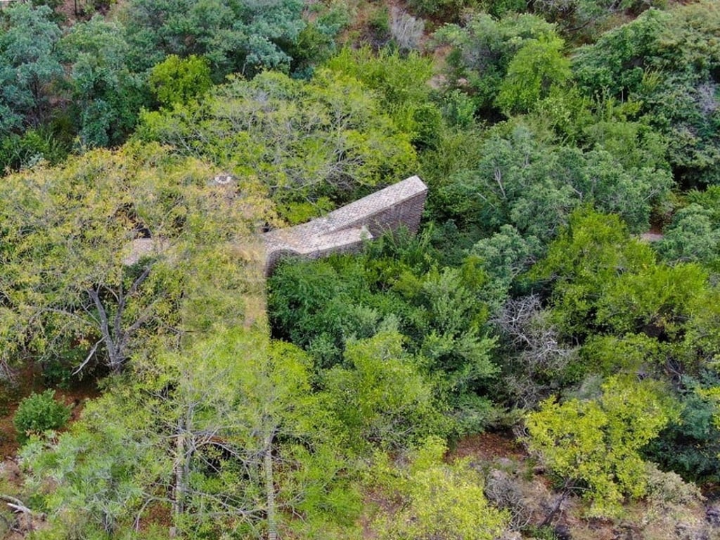 Not a single tree was knocked down as a result of the house being built. Photo: Frankie Pappas