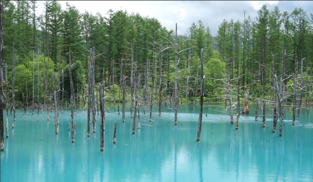 The Blue Pond in Hokkaido. Photo: Rhea Mogul