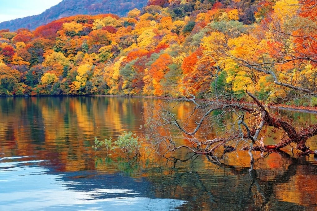 Autumn foliage at Towada Lake in Towada Hachimantai National Park, Aomori, Japan. Photo: Shutterstock