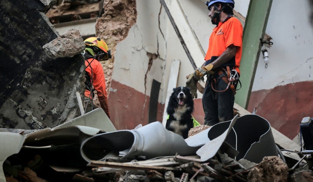 Fletch, a dog from the Chilean rescue team, stands in a collapsed building in Beirut after detecting a possible survivor on Thursday. Photo: dpa