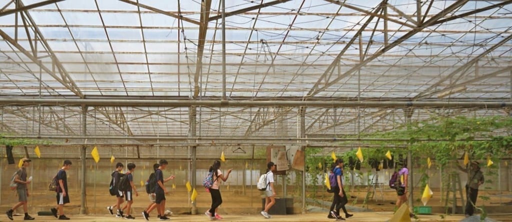 Hong Kong Korean International School’s secondary students learn about eco-friendly farming practices during a trip to Zen Organic Farm in Fanling, New Territories.