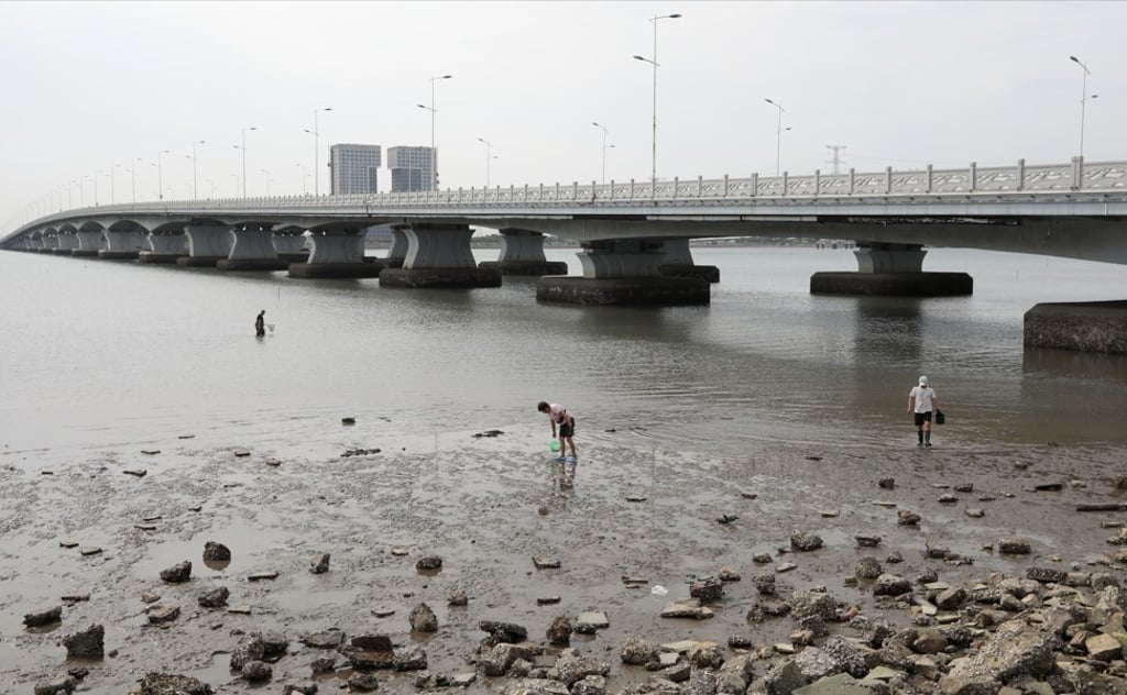 People collect cockles along the waterfront in Caofeidian, a pilot free-trade zone in China’s Hebei province. Photo: Simon Song People collect cockles along the waterfront in Caofeidian, a pilot free-trade zone in China’s Hebei province. Photo: Simon Song