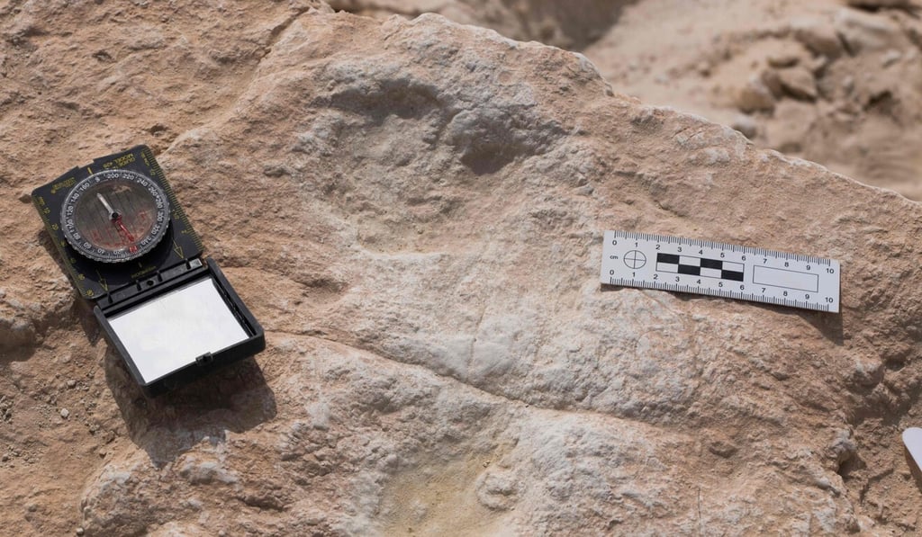 The first human footprint discovered at the Alathar ancient lake. Photo: AFP