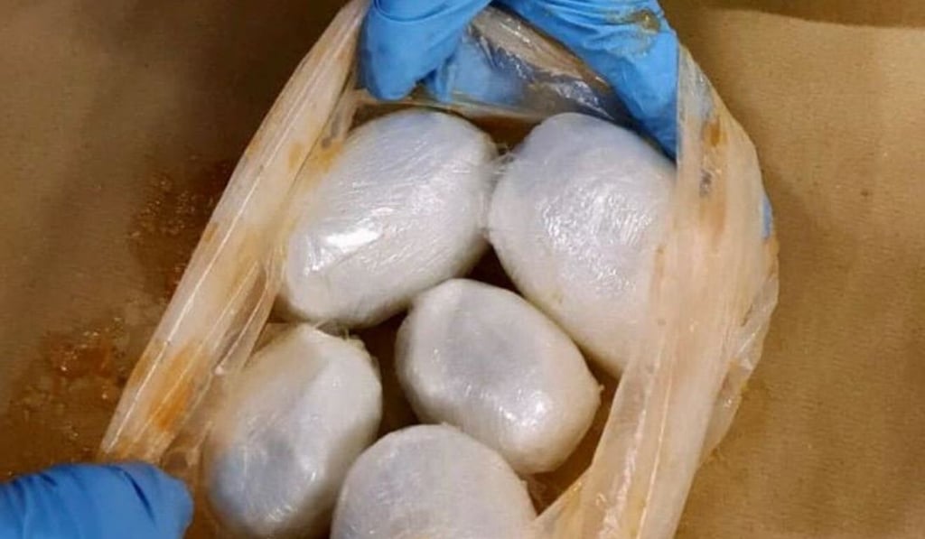 Bundles of drugs were recovered by officers from inside hollowed-out papaya fruits. Photo: Singapore's Central Narcotics Bureau / Handout Bundles of drugs were recovered by officers from inside hollowed-out papaya fruits. Photo: Singapore's Central Narcotics Bureau / Handout
