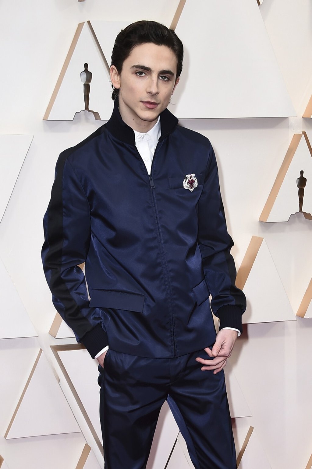 Timothée Chalamet arrives at the 2020 Oscars in February, at the Dolby Theatre in Los Angeles. Photo: Jordan Strauss/Invision/AP