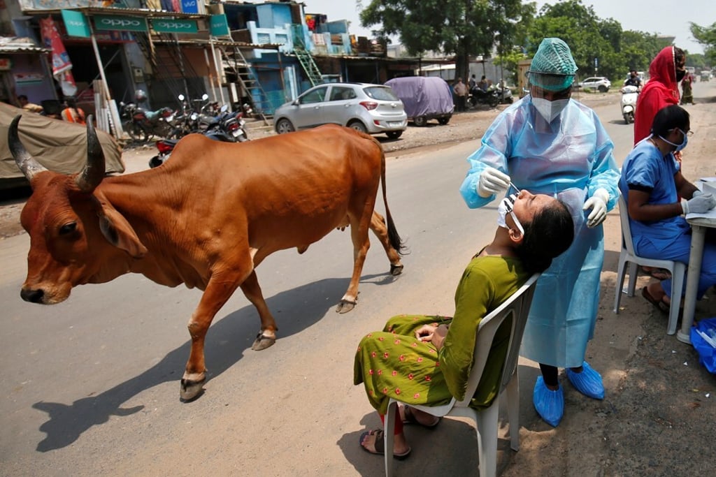 A health care worker tests a woman for Covid-19 in Ahmedabad, India. Photo: Reuters