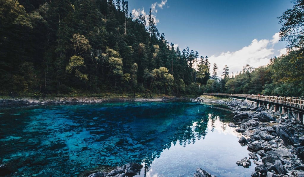 China is hosting a summit in May to set targets for the next decade. Photo: Valerie Teh