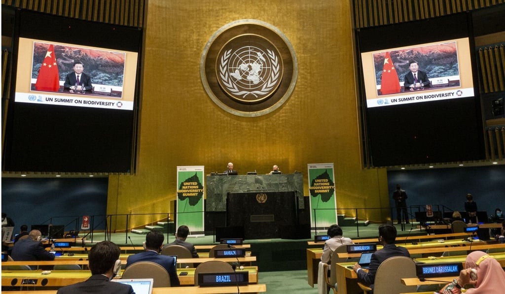 There were no US representatives at the United Nations Summit on Biodiversity. Photo: Xinhua