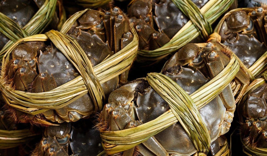 Hairy crabs are usually brought into Hong Kong from mainland China or Taiwan. Photo: Shutterstock
