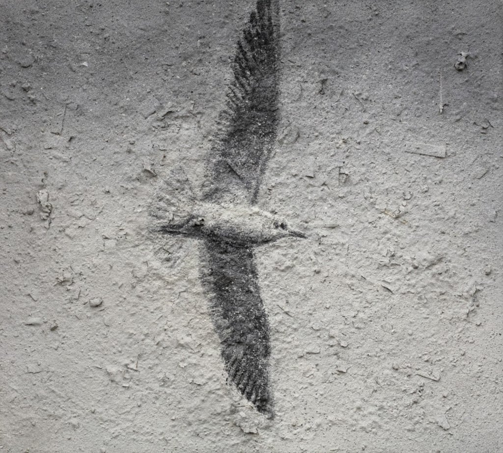 Northward (2020), by Zhang Huan. Photos: Asia Art Archive / Zhang Huan Northward (2020), by Zhang Huan. Photos: Asia Art Archive / Zhang Huan