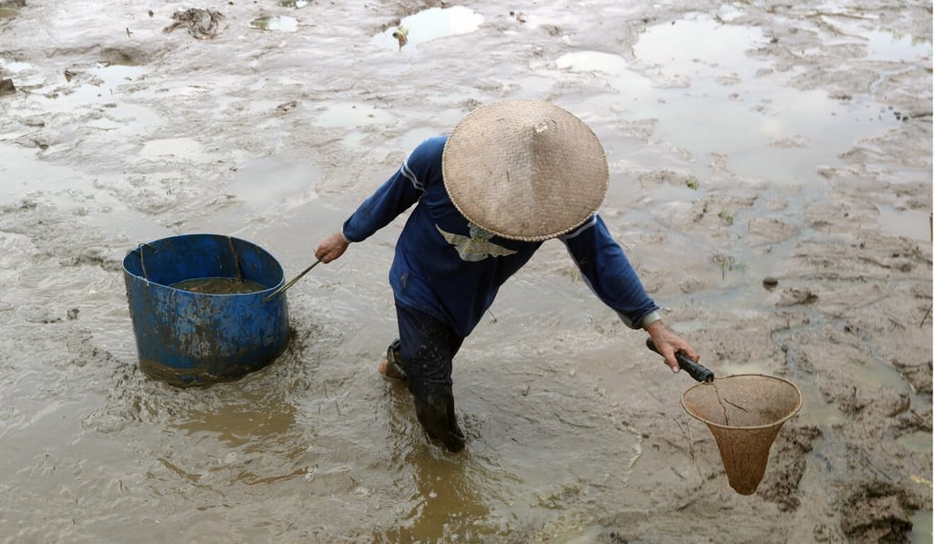 A fisherman carries a bucket of fish in a pond in Depok, West Java, Indonesia, on October 15. In Indonesia, many multinationals sell microfinance products, including low-premium insurance that target customers with a modest income of 2 million rupiah. Photo: EPA-EFE A fisherman carries a bucket of fish in a pond in Depok, West Java, Indonesia, on October 15. In Indonesia, many multinationals sell microfinance products, including low-premium insurance that target customers with a modest income of 2 million rupiah. Photo: EPA-EFE