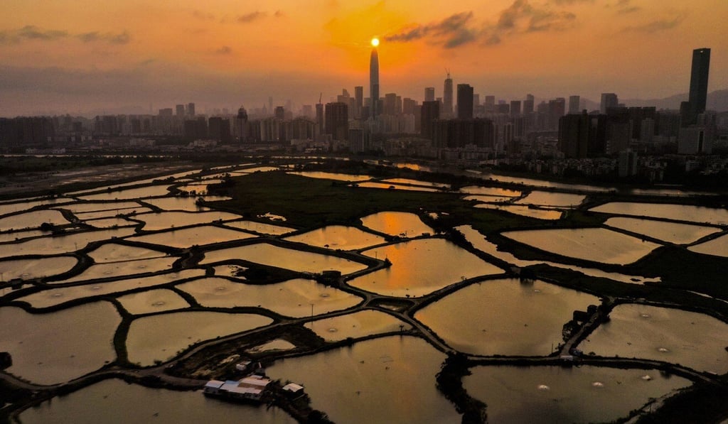 Shenzhen has become an economic powerhouse in recent decades. Photo: SCMP Shenzhen has become an economic powerhouse in recent decades. Photo: SCMP