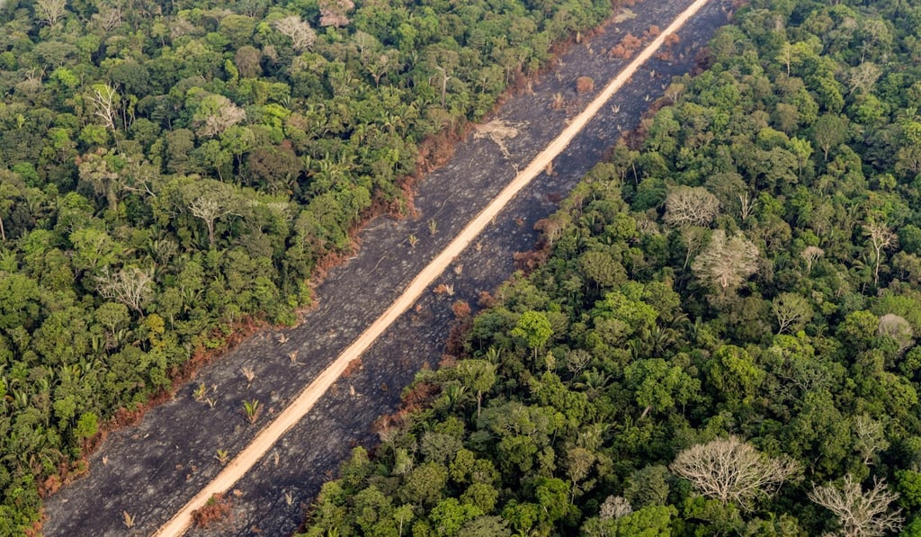 A road runs through a tract of burnt Amazon jungle. Make sure to crop it out of the background of your remote running shot. Photo: Reuters