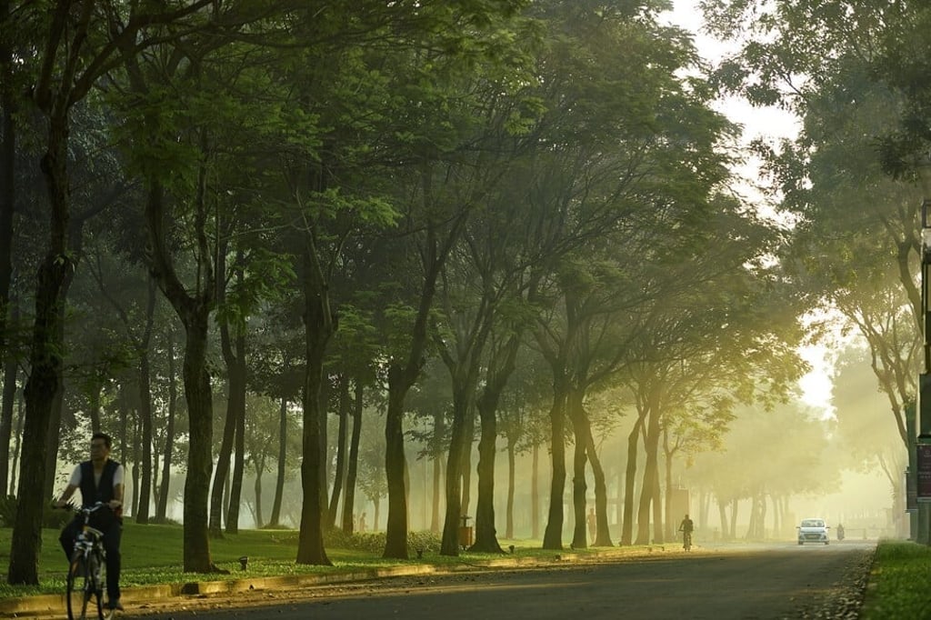 Gamuda Land's townships feature tree-lined streets, as part of its carefully planned, sustainable developments.