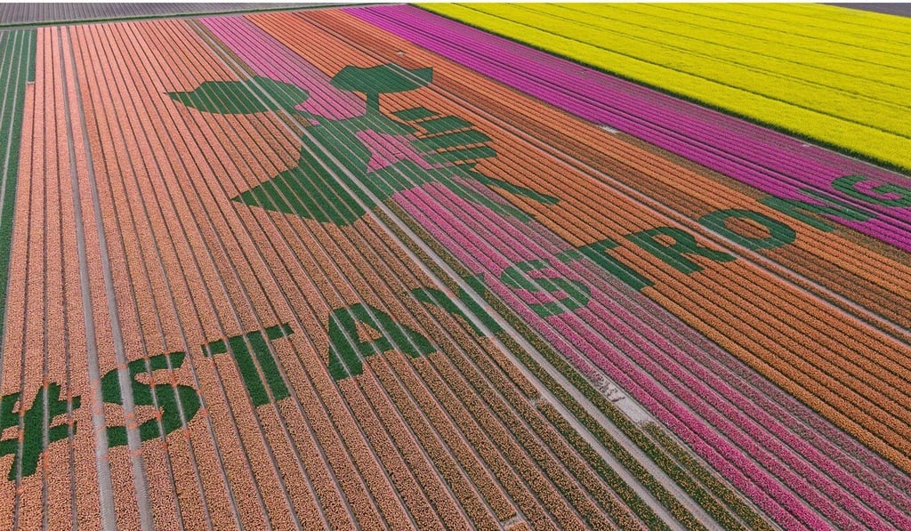 The pandemic inspired this message in a field of 3 million tulips in the Dutch village of Bant. Photo: EPA-EFE