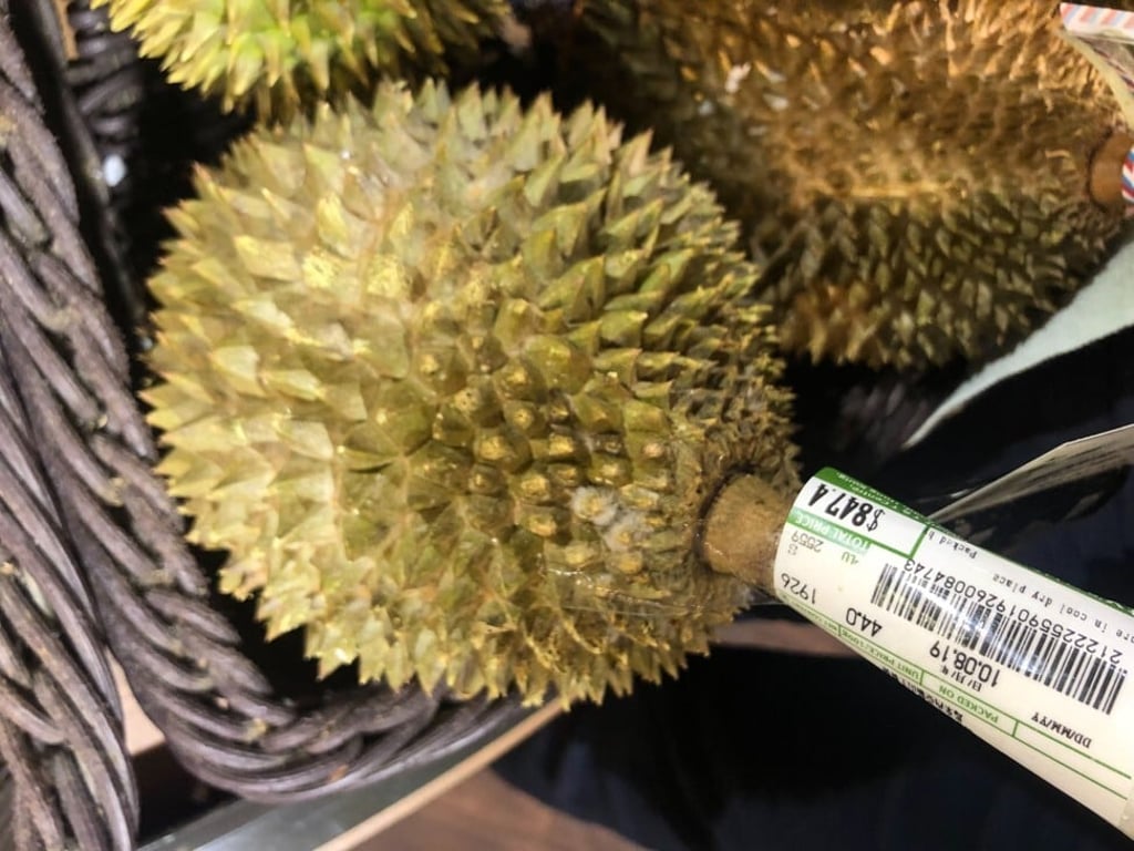 A prized musang king durian at City‘super in Hong Kong. Photo: SCMP A prized musang king durian at City‘super in Hong Kong. Photo: SCMP