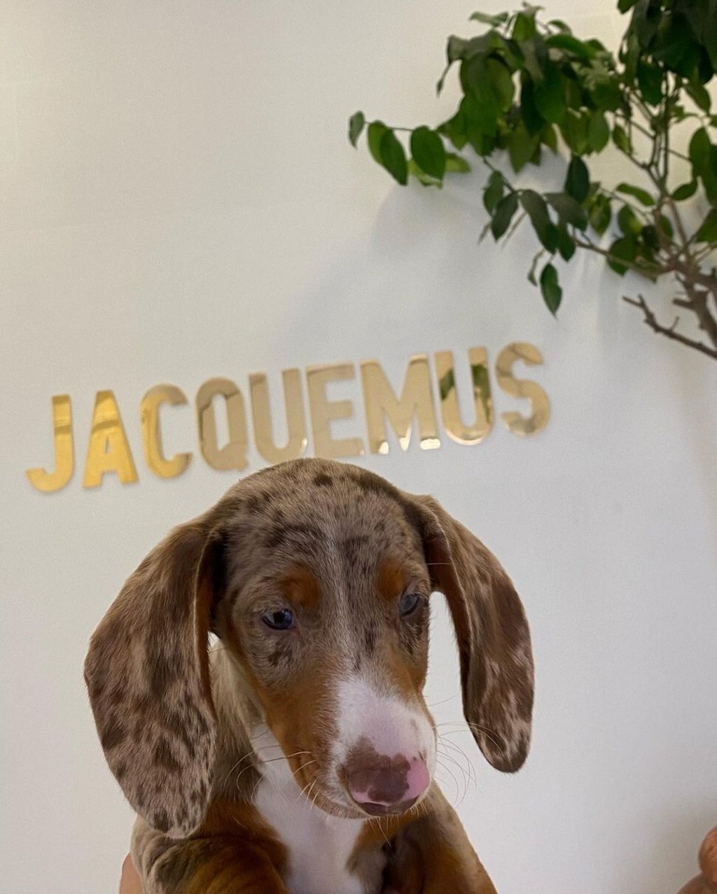 Photo: @jacquemus/Instagram Photo: @jacquemus/Instagram