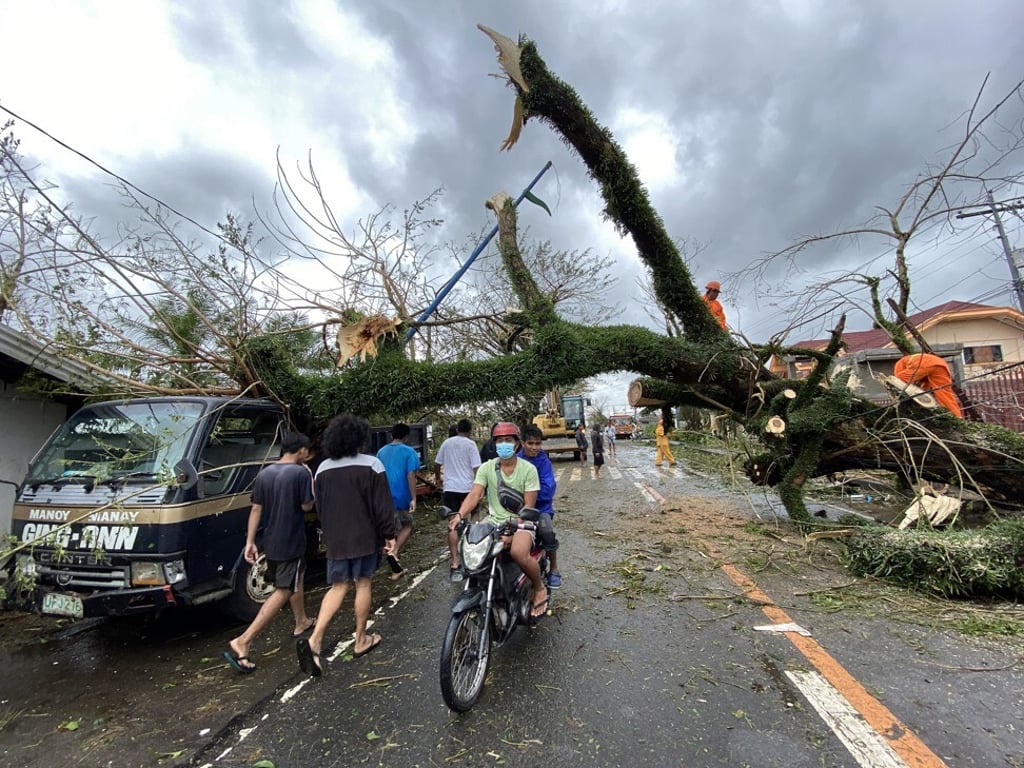 A toppled tree seen in the town of Tigaon, Camarines Sur on November 1, 2020. Photo: EPA-EFE