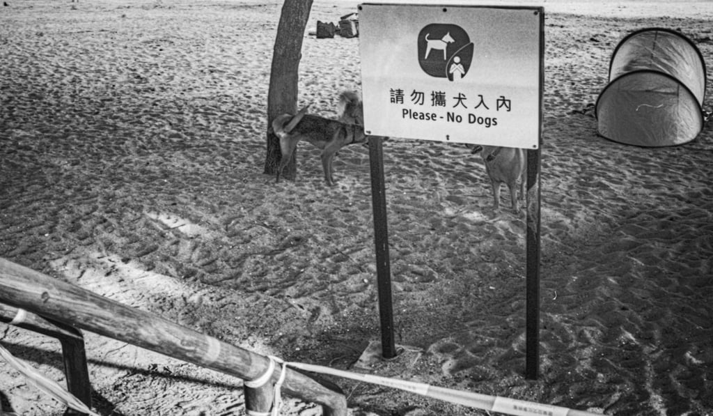 Not everybody is impressed with the decision to close Hong Kong's beaches. Photo: Henk Jan Pomstra of the Cathay Camera Club