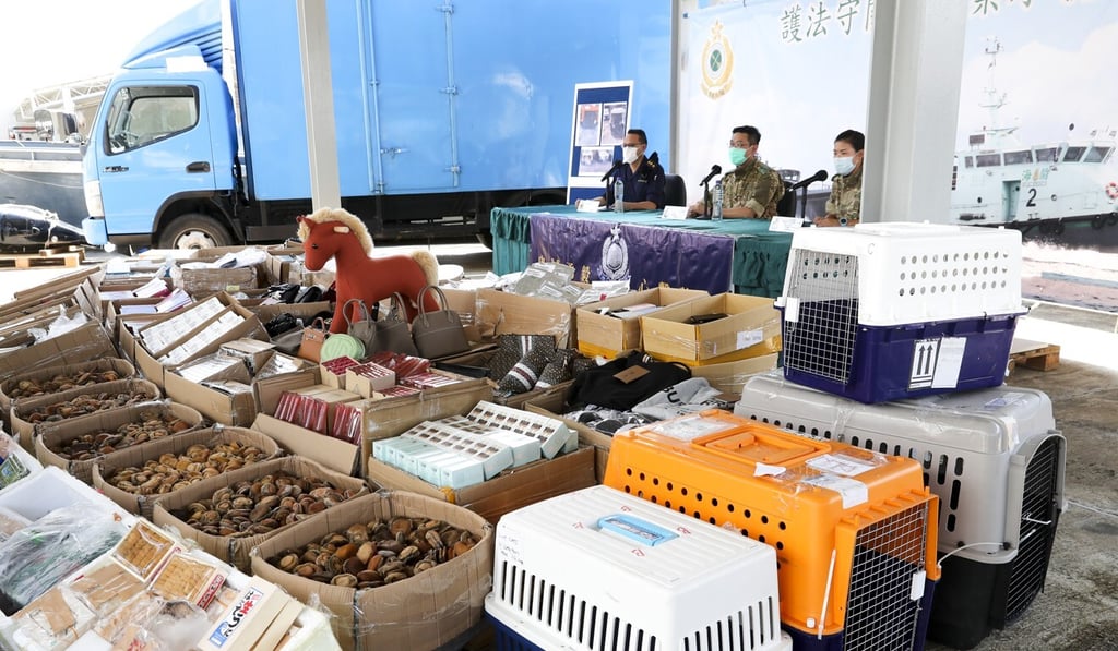 A police and customs raid in August saw four cages carrying 12 microchipped dogs among a smuggling haul that included wine, electronics and cosmetics. Photo: Edmond So