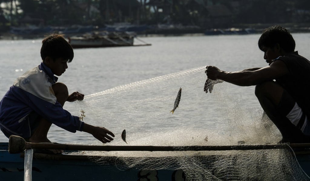 FIshermen hoist a net to land a catch in Pangasinan province, the Philippines. Photo: Bloomberg
