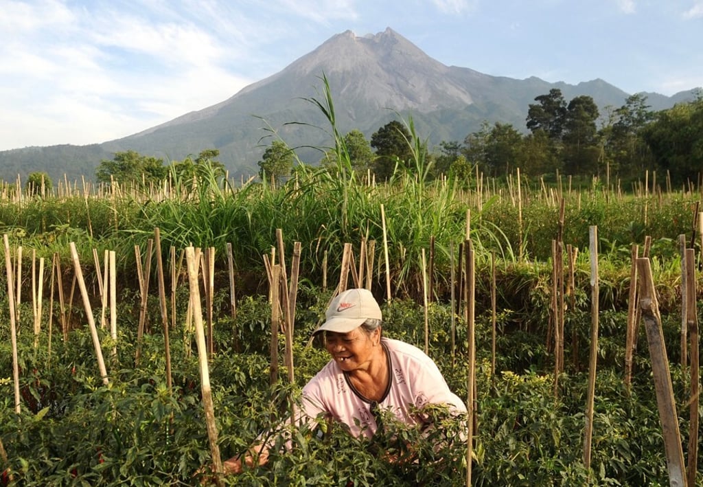 Some 250,000 people live within a 10km radius of the volcano. Photo: AFP