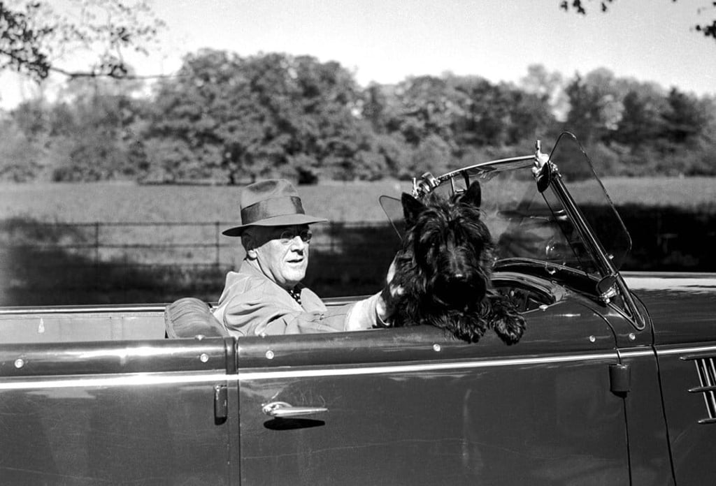 President Franklin Roosevelt with his dog Fala. Photo: AP/Franklin D. Roosevelt Presidential Library and Museum President Franklin Roosevelt with his dog Fala. Photo: AP/Franklin D. Roosevelt Presidential Library and Museum