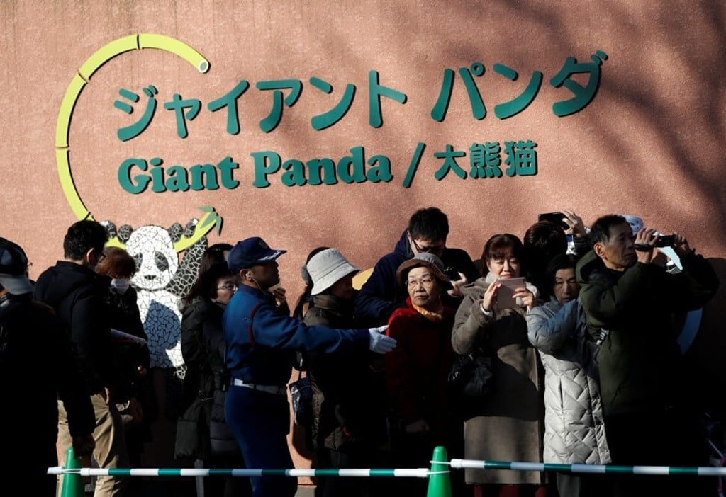 Visitors queue up to see baby Xiang Xiang on June 12, 2017, the first day of her public debut at Ueno Zoological Gardens. Photo: Reuters