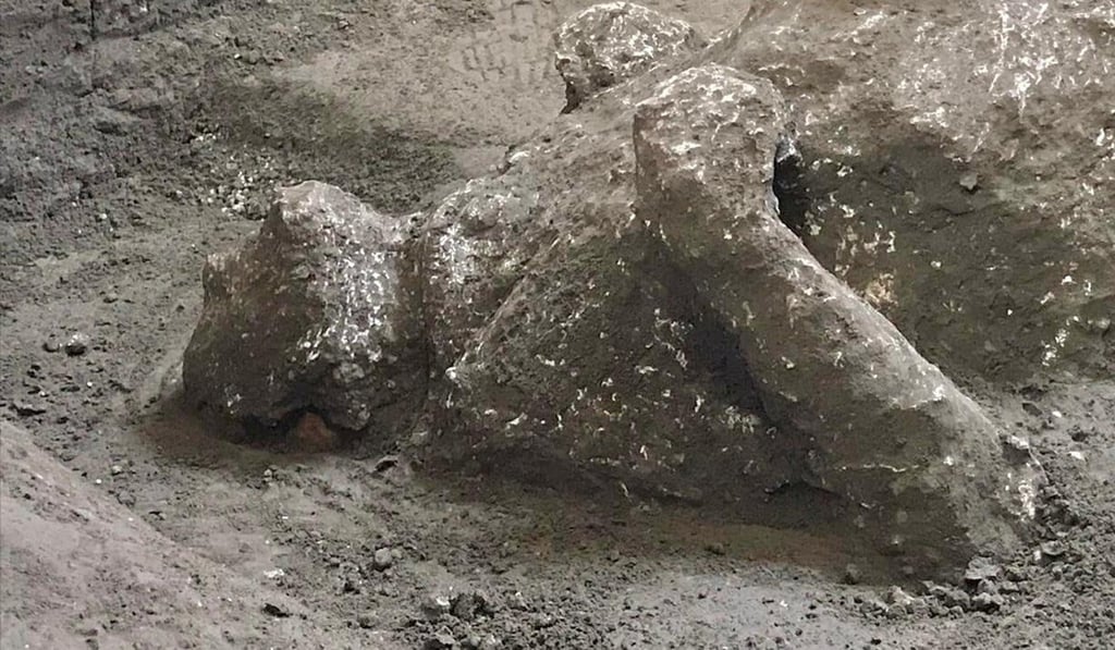 Judging by cranial bones and skull, one of the victims was a youth. Photo: Reuters