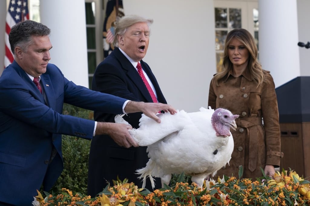 US President Donald Trump pardons a turkey, next to first lady Melania Trump and farmer Wellie Jackson, in the Rose Garden of the White House in November 2019. Photo: EPA-EFE US President Donald Trump pardons a turkey, next to first lady Melania Trump and farmer Wellie Jackson, in the Rose Garden of the White House in November 2019. Photo: EPA-EFE