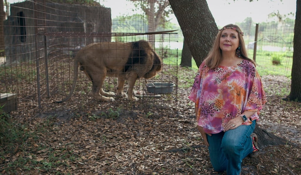 Big Cat Rescue founder Carole Baskin is seen in a still from Netflix’s Tiger King. Photo: Neflix via TNS Big Cat Rescue founder Carole Baskin is seen in a still from Netflix’s Tiger King. Photo: Neflix via TNS
