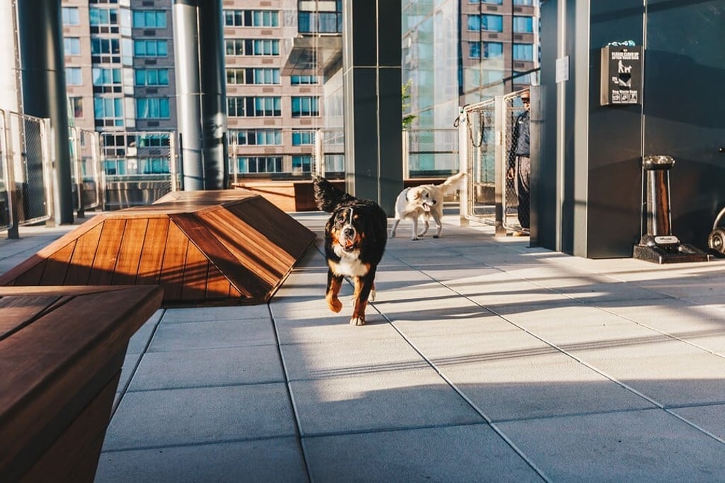 The heated outdoor dog run at rental property 555TEN in Hudson Yards, New York City. Photo: Extell Development